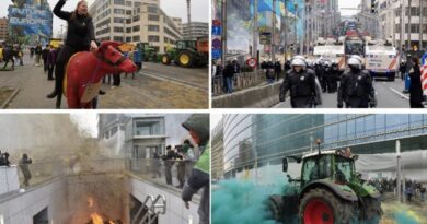 Bruksel, fermerët derdhin pleh dhe panxharë për të protestuar kundër politikës bujqësore të BE-së