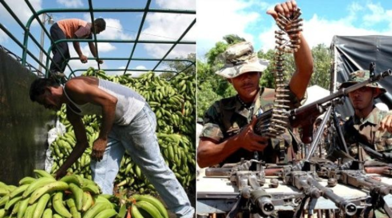 Kompania ndërkombëtare e bananeve ka financuar grupin paramilitar kolumbian