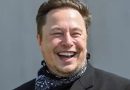 Elon Musk, AfD dhe politika gjermane