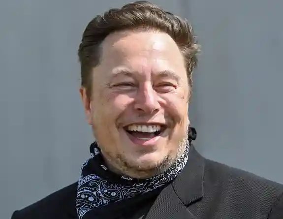 Elon Musk, AfD dhe politika gjermane