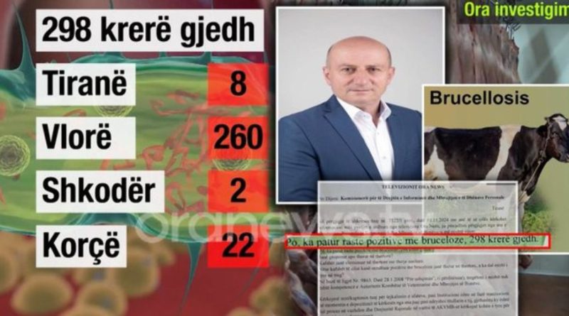 298 bagëti me brucelozë në Shqipëri. Mbahen “sekret” emrat e fabrikave të sallamit ku shkoi mishi. Zv. Ministri akuzon median