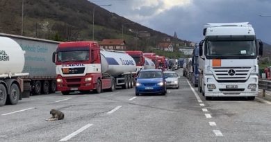 Rriten shkëmbimet tregtare Shqipëri–Kosovë, kërkohen më shumë lehtësira