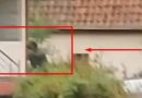 Publikohet momenti i gjuajtjes me breshëri plumbash ndaj terroristëve serbë në Banjskë (Video)