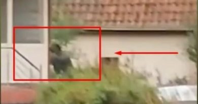 Publikohet momenti i gjuajtjes me breshëri plumbash ndaj terroristëve serbë në Banjskë (Video)