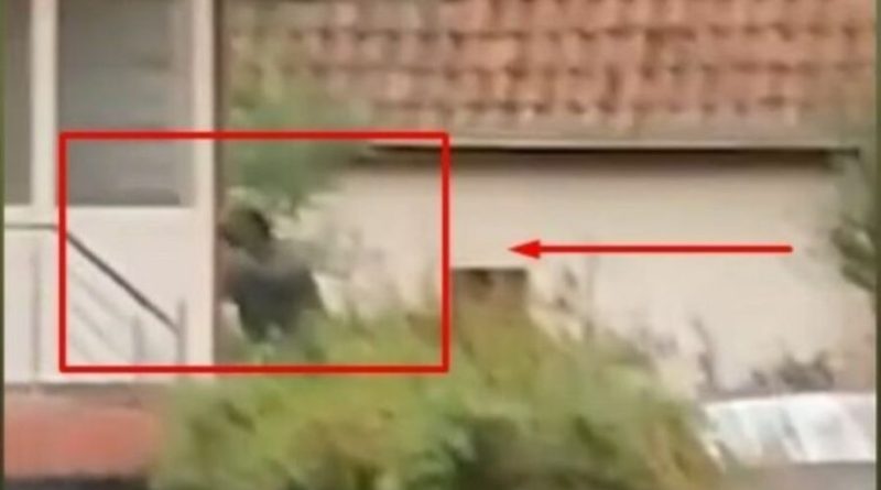 Publikohet momenti i gjuajtjes me breshëri plumbash ndaj terroristëve serbë në Banjskë (Video)