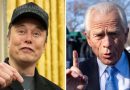 Musk e quan këshilltarin kryesor të Trumpit për tregti një “idiot” dhe “më budalla se një thes me tulla”