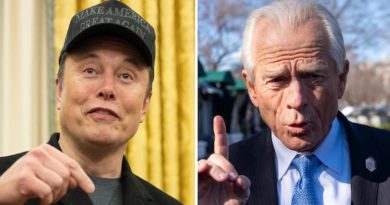 Musk e quan këshilltarin kryesor të Trumpit për tregti një “idiot” dhe “më budalla se një thes me tulla”