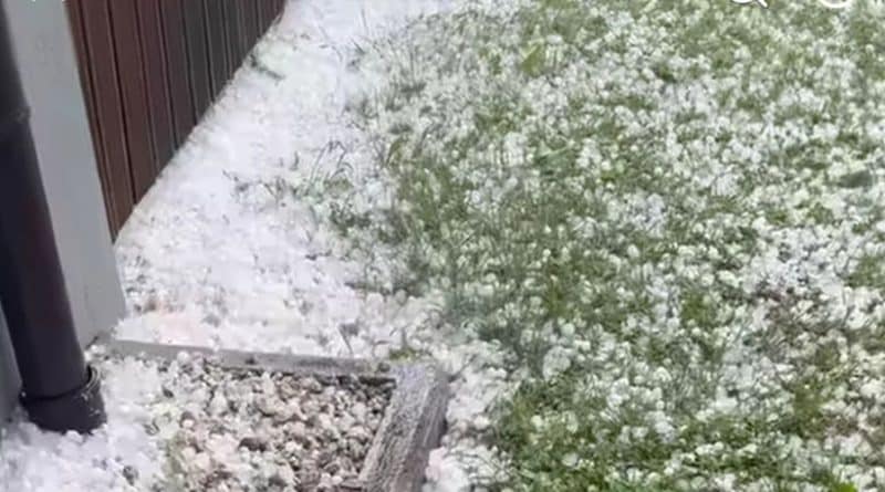 Ministri i Bujqësisë viziton fermerët e prekur nga breshëri në Istog dhe komuna të tjera